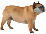 TRIXIE Trixe Muzzle for short-nosed breeds - szájkosár (szürke) rövid orrú kutyák részére (S) 23cm (028-17625)