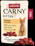 Animonda Carny Kitten (baromfi-koktél) alutasakos - Kölyök macskák részére (85g) (600-83075)