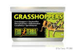 Hagen Exo-Terra Grasshoppers - hüllőeledel (szöcske) 34g (PT1950)