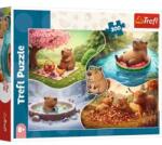 Trefl Trefl: Puzzle cu patru anotimpuri cu capere - 300 piese Puzzle