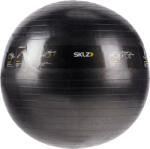 SKLZ Minge de fitness SKLZ TRAINERball Sport Performance, negru, 0509 Minge fitness