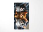  Prosop de plaja cu uscare rapida CATTINO colorat 70 x 140 cm, 100% microfibra Prosop