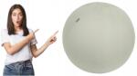 Leitz Ülőlabda Leitz Egro 65cm világosszürke (65420085)