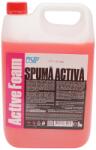  Spuma activa auto concentrata Osip 5 kg pentru curatare profesionala (AAB441)
