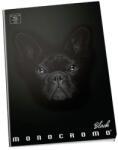 Pigna Monocromo Black Dog caiet A5 sima P1111-0527 (P1111-0527)