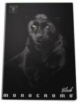 Pigna Monocromo Black Panther caiet A5 sima P1111-0533 (P1111-0533)