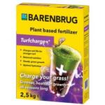 Barenbrug Ingrasmant TURFCHARGE barenbrug 2.5KG