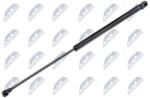 NTY Amortizor capota NTY AE-WW-031 (AE-WW-031)