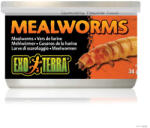 Hagen PT1958 Mealworms - speciális lisztkukac konzerv hüllőeledel 34g - vetpluspatika