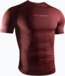 Hayabusa Мъжки рашгард Hayabusa Core Rash Guard red