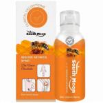 South Moon gel pentru articulații cu venin de albine și condroitină, 100 ml