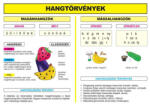 Comenius 2010 Bt Hangtörvények tabló (1601)