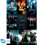 ABYstyle Harry Potter maxi poszter 91, 5x61cm