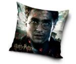 Carbotex Harry Potter párnahuzat, 40×40 cm