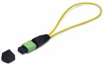 STARTECH Single Mode MPO visszahurkolt teszt adapter LOOPBACKMTP12OS2SMF (LOOPBACKMTP12OS2SMF)