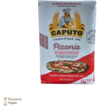Caputo Il mulino di Napoli 1924 Caputo Pizzeria Tipo "00" - 1kg (CAPPIZ1)
