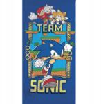 Aymax Sonic a sündisznó Ring Team fürdőlepedő, strand törölköző 70x140cm (Fast Dr (12)