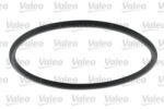 Valeo Filtru combustibil VALEO 587919 (587919) - turbochic