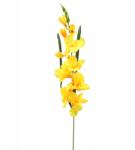 Goliat Gladioli ág sárga Művirágok Goliat (GL-82/Ż)