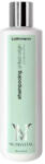 Lothmann Lothmann UNITED ORIGIN - Vegetal Keratin Sampon (250 ml)