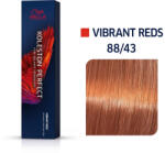 Wella - Vopsea permanenta Wella Professionals Koleston Perfect 88/43