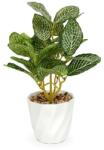 Vog und Arths Decorațiune artificială - fittonia - 20 x 9 cm (11890A)