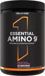 Rule 1 Essential Amino 9, punch de fructe, 330 g, Rule1