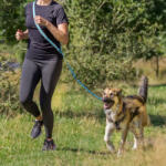Lesă de activitate pentru câini Trixie pentru jogging (133-180 cm / 20 mm)