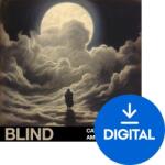 Audiofier Blent 6 Plus - CinemaDrums (Digitális termék)