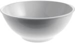 Alessi Bol pentru salată PLATEBOWLCUP, 26 cm, 3, 3 l, Alessi (ALAJM283826) Castron