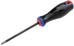 TRACON torx csavarhúzó T20x100 mm diamond CRV CNT20100 (CNT20100)