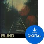 Audiofier Blent 4 - Drones (Produs digital)