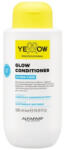 Yellow Professional Hydra Care Glow Conditioner 500 ml
