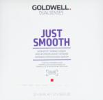 Goldwell Dualsenses Just Smooth Intensive Taming Serum 12 x 18 ml