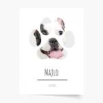 Empikfoto. ro Poster, Animalul tău de companie - câine, 20x30 - 126500
