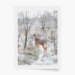 Empikfoto. ro Poster, Crăciun: Renifer 4, 21x30 - 111697