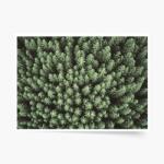Empikfoto. ro Poster, Pădure: Woods, 70x50 - 83176