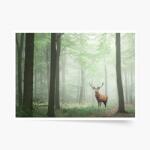 Empikfoto. ro Poster, Pădure: Deer, 40x30 - 83171