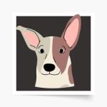 Empikfoto. ro Poster, Câini: Jack Russell, 30x30 - 82894