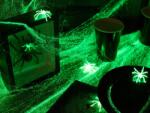 Folat Világító fluoreszkáló pókháló fehér világít 100g Halloween Folat (F23785)