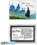ABYstyle Harry Potter hűtőmágnes Harry & Hogwarts