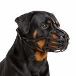 Julius K9 Botnita piele dura - Rottweiler (mascul) și alti caini cu bot scurt