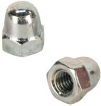 Evotools Piulita Infundata Din 1587, M6 - 100Buc (683134)