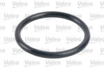Valeo Filtru combustibil VALEO 587710 (587710) - turbochic