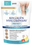 INTERHERB Pudra de colagen, acid hialuronic, MSM, glucozamina, condroitina, inulina si vitamina C aroma capsuni-banane Interherb 290 gr (XTE203168)
