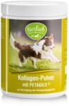 Sanct Bernhard Pulbere de colagen Petagile pentru caini si pisici Sanct Bernhard 400g (XTE201847)