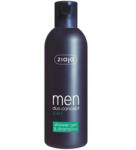 Ziaja Sampon si gel de dus 2 in 1 pentru barbati Ziaja 300 ml (XTE203415)