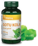 Vitaking Capsule vegane Gotu Kola 2000 mg Vitaking 60 buc (XTE203647)