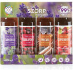 Bálint Csemegék Set siropuri Balint lavanda si mar, merisor, scortisoara si macese 4x100 ml (XTE203561)