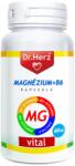 Dr. Herz Vital Capsule vegane magneziu + vitamina B6 Dr Herz 60 buc (XTE200980)